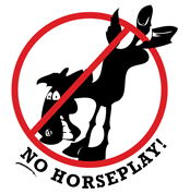 no horseplay logo