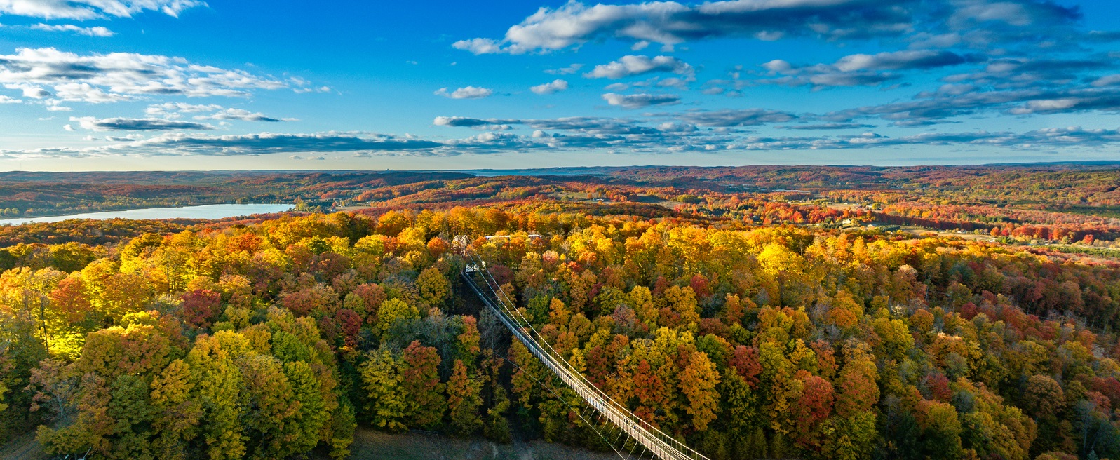 aerial drone picture of fall foliage and suspension bridge
